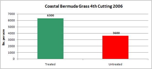 Coastal Bermuda Grass 4th Cutting 2006